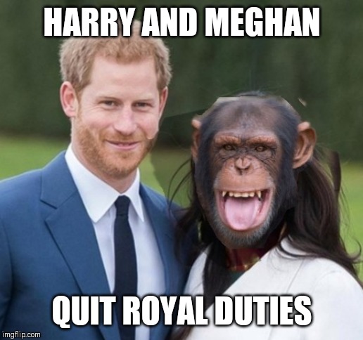 Prince Harry and Meghan | HARRY AND MEGHAN; QUIT ROYAL DUTIES | image tagged in prince harry and meghan | made w/ Imgflip meme maker