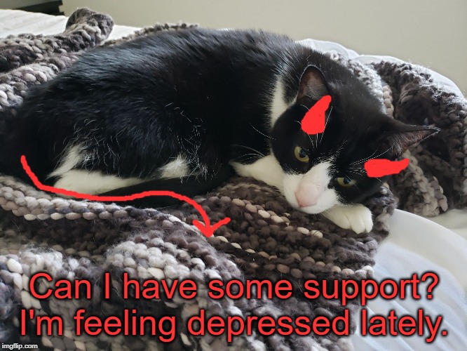 Emo Cat | Can I have some support? I'm feeling depressed lately. | image tagged in emo cat | made w/ Imgflip meme maker