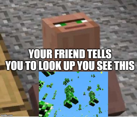 Minecraft Villager Looking Up | YOUR FRIEND TELLS YOU TO LOOK UP YOU SEE THIS | image tagged in minecraft villager looking up | made w/ Imgflip meme maker