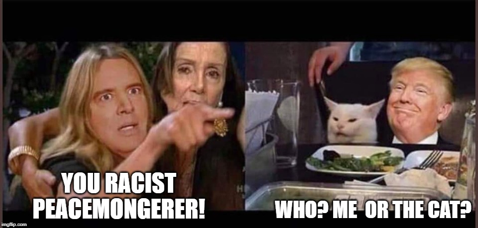 Now that all of the sky is falling WW3 fears have been averted will they go back to their usual diatribe? Or something new? | WHO? ME  OR THE CAT? YOU RACIST PEACEMONGERER! | image tagged in schiff pelosi trump cat,racist peacemongerer,donald trump cat | made w/ Imgflip meme maker