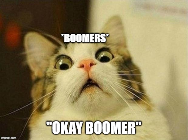 Scared Cat | *BOOMERS*; "OKAY BOOMER" | image tagged in memes,scared cat | made w/ Imgflip meme maker