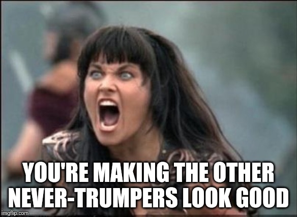 Angry Xena | YOU'RE MAKING THE OTHER NEVER-TRUMPERS LOOK GOOD | image tagged in angry xena | made w/ Imgflip meme maker