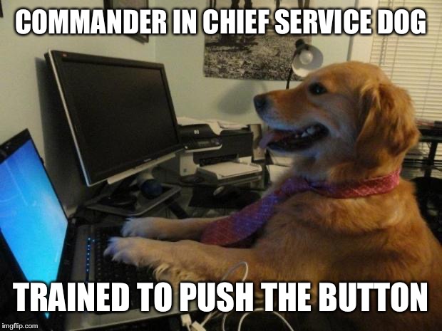 Dog behind a computer | COMMANDER IN CHIEF SERVICE DOG TRAINED TO PUSH THE BUTTON | image tagged in dog behind a computer | made w/ Imgflip meme maker