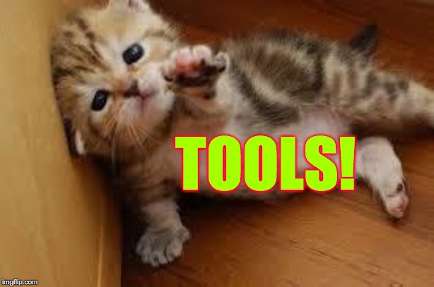 Sad Kitten Goodbye | TOOLS! | image tagged in sad kitten goodbye | made w/ Imgflip meme maker