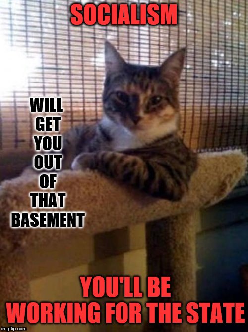 One thing for sure | SOCIALISM; WILL 
GET
YOU
OUT
OF
THAT
BASEMENT; YOU'LL BE WORKING FOR THE STATE | image tagged in memes,the most interesting cat in the world,politics | made w/ Imgflip meme maker