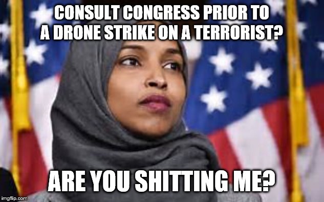 I don't think so | CONSULT CONGRESS PRIOR TO A DRONE STRIKE ON A TERRORIST? ARE YOU SHITTING ME? | image tagged in democrats,2020 elections,terrorism | made w/ Imgflip meme maker