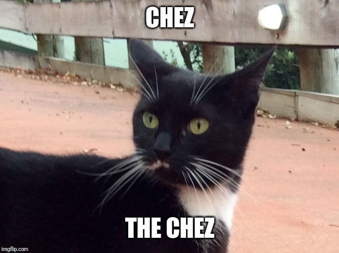 'I SMEL CHEZ' KAT | CHEZ; THE CHEZ | image tagged in 'i smel chez' kat | made w/ Imgflip meme maker