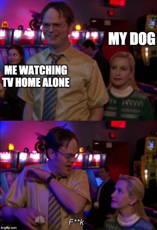 Angela scared Dwight | MY DOG; ME WATCHING TV HOME ALONE | image tagged in angela scared dwight | made w/ Imgflip meme maker