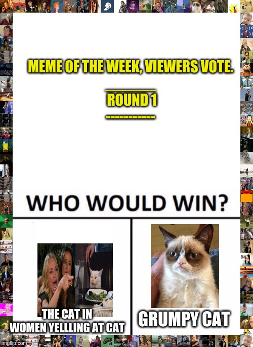 meme of the week round 1 | MEME OF THE WEEK, VIEWERS VOTE.
______
 ROUND 1
-----------; THE CAT IN WOMEN YELLLING AT CAT; GRUMPY CAT | image tagged in memes,who would win,memeoftheweek,grumpy cat,two women yelling at a cat | made w/ Imgflip meme maker