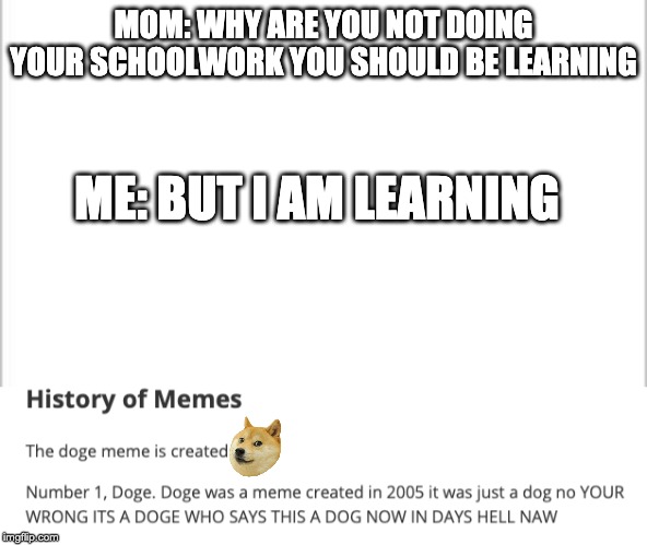 Moms only want you to learn in school ONLY | MOM: WHY ARE YOU NOT DOING YOUR SCHOOLWORK YOU SHOULD BE LEARNING; ME: BUT I AM LEARNING | image tagged in white background,school,mom,funny,memes,doge | made w/ Imgflip meme maker