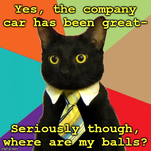 I need a memo sent out by the end of the day, and this time someone with hands needs to type it | Yes, the company car has been great-; Seriously though, where are my balls? | image tagged in memes,business cat | made w/ Imgflip meme maker