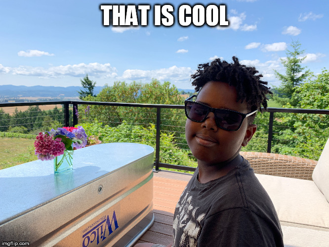 That's cool | THAT IS COOL | image tagged in that's cool | made w/ Imgflip meme maker