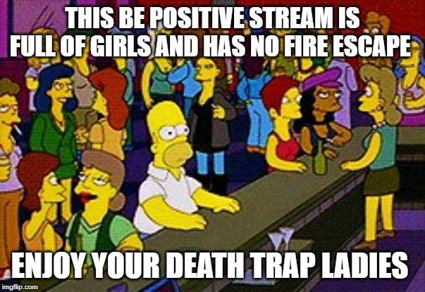 no boys allowed | THIS BE POSITIVE STREAM IS FULL OF GIRLS AND HAS NO FIRE ESCAPE; ENJOY YOUR DEATH TRAP LADIES | image tagged in homer bar | made w/ Imgflip meme maker