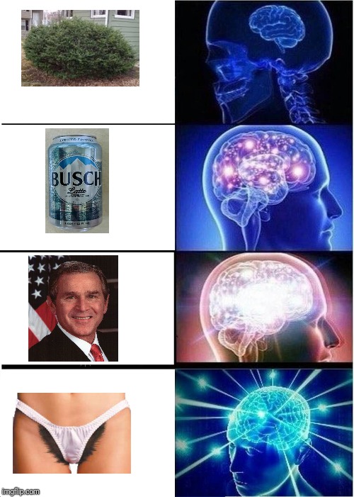 Expanding Brain | image tagged in memes,expanding brain | made w/ Imgflip meme maker