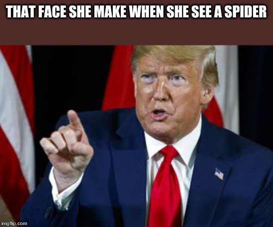 THAT FACE SHE MAKE WHEN SHE SEE A SPIDER | image tagged in memes,trump | made w/ Imgflip meme maker