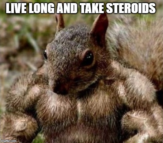 Steroid Squirrel | LIVE LONG AND TAKE STEROIDS | image tagged in steroid squirrel | made w/ Imgflip meme maker