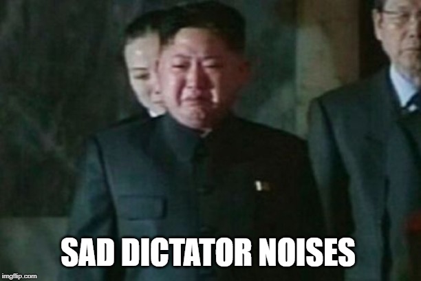 Kim Jong Un Sad Meme | SAD DICTATOR NOISES | image tagged in memes,kim jong un sad | made w/ Imgflip meme maker