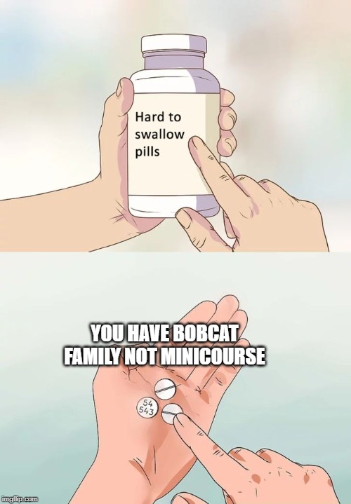 Hard To Swallow Pills Meme | YOU HAVE BOBCAT FAMILY NOT MINICOURSE | image tagged in memes,hard to swallow pills | made w/ Imgflip meme maker