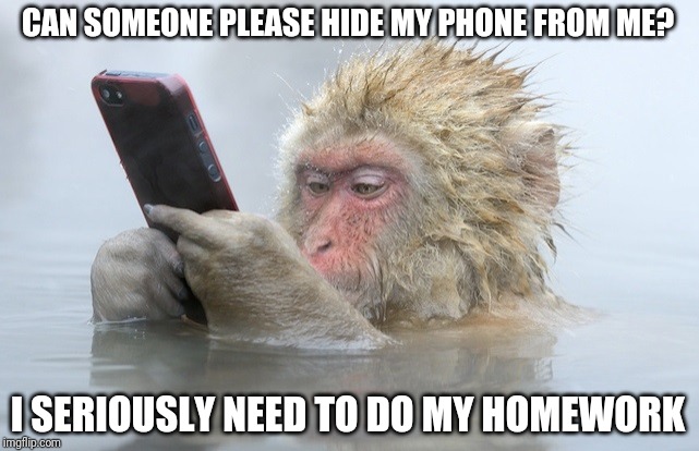 monkey cell phone | CAN SOMEONE PLEASE HIDE MY PHONE FROM ME? I SERIOUSLY NEED TO DO MY HOMEWORK | image tagged in monkey cell phone | made w/ Imgflip meme maker
