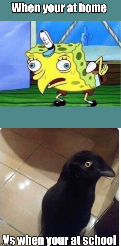When your at home; Vs when your at school | image tagged in memes,mocking spongebob | made w/ Imgflip meme maker