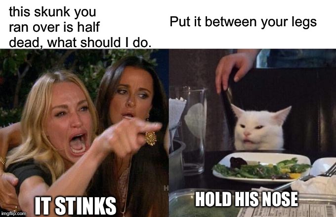 Woman Yelling At Cat Meme | this skunk you ran over is half dead, what should I do. Put it between your legs; HOLD HIS NOSE; IT STINKS | image tagged in memes,woman yelling at cat | made w/ Imgflip meme maker