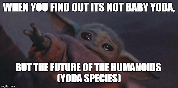 Yoda? | WHEN YOU FIND OUT ITS NOT BABY YODA, BUT THE FUTURE OF THE HUMANOIDS 
(YODA SPECIES) | image tagged in baby yoda cry | made w/ Imgflip meme maker