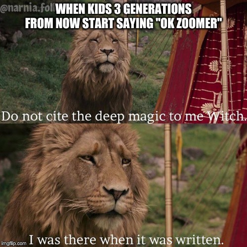 Do not cite the deep magic to me witch | WHEN KIDS 3 GENERATIONS FROM NOW START SAYING "OK ZOOMER" | image tagged in do not cite the deep magic to me witch | made w/ Imgflip meme maker