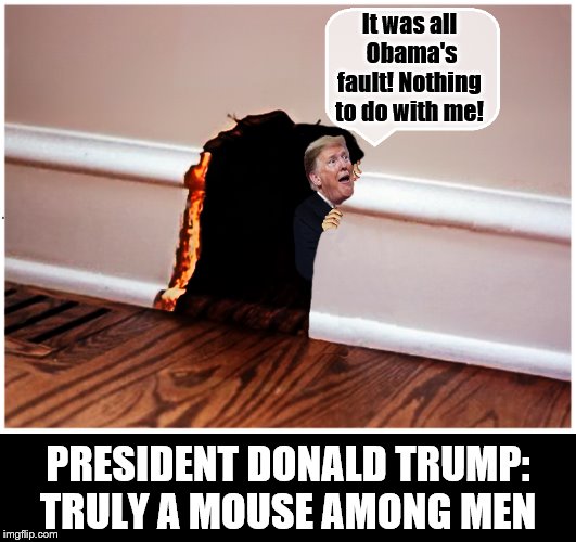 The Great Leader ! | It was all  Obama's fault! Nothing to do with me! PRESIDENT DONALD TRUMP: TRULY A MOUSE AMONG MEN | image tagged in donald trump,impeach trump,trump is a moron,coward,stressed mouse | made w/ Imgflip meme maker