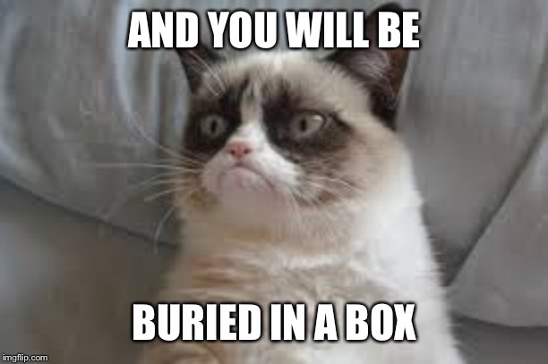 Grumpy cat | AND YOU WILL BE BURIED IN A BOX | image tagged in grumpy cat | made w/ Imgflip meme maker
