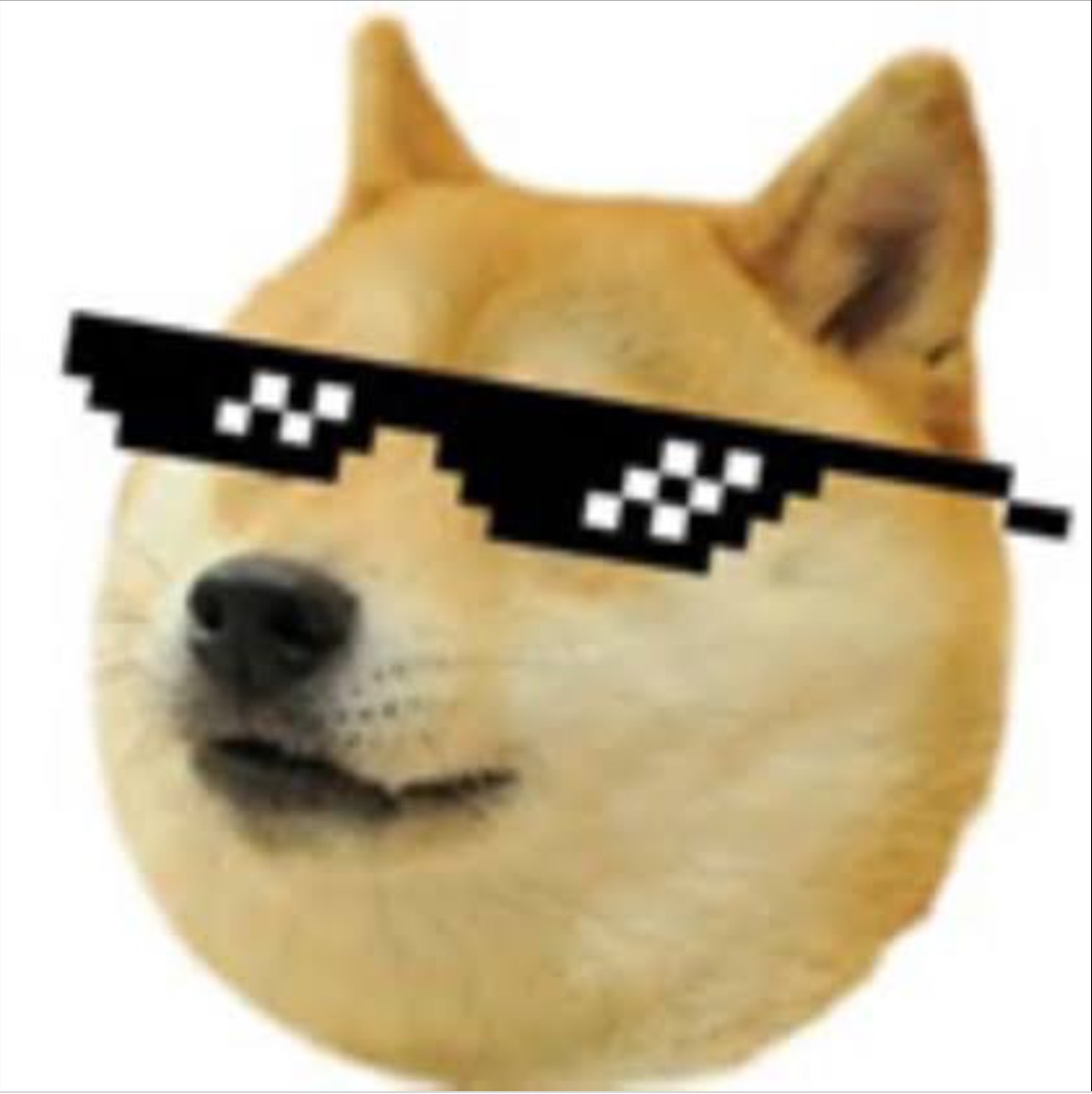 High Quality Doge Blank Meme Template