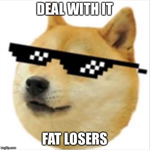 Doge | DEAL WITH IT; FAT LOSERS | image tagged in doge | made w/ Imgflip meme maker