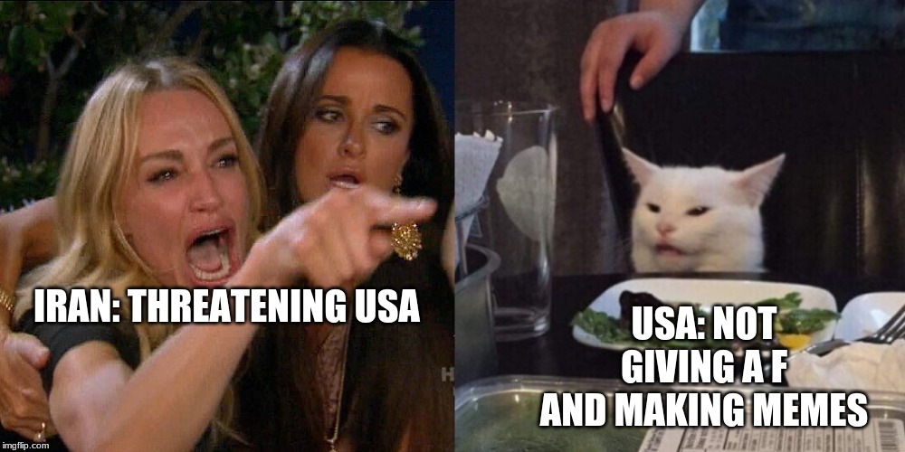 Woman yelling at cat | USA: NOT GIVING A F AND MAKING MEMES; IRAN: THREATENING USA | image tagged in woman yelling at cat | made w/ Imgflip meme maker