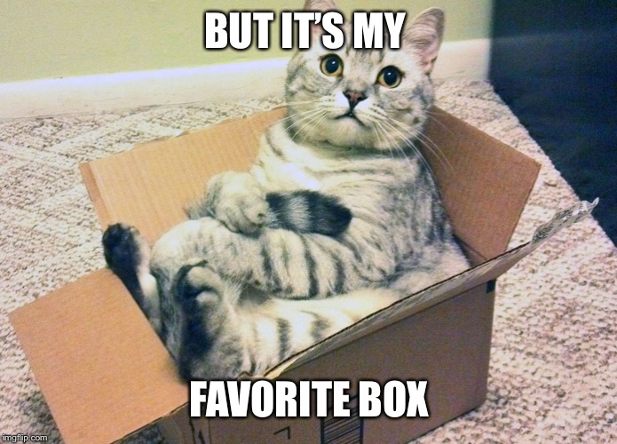 Cat in Box | BUT IT’S MY FAVORITE BOX | image tagged in cat in box | made w/ Imgflip meme maker