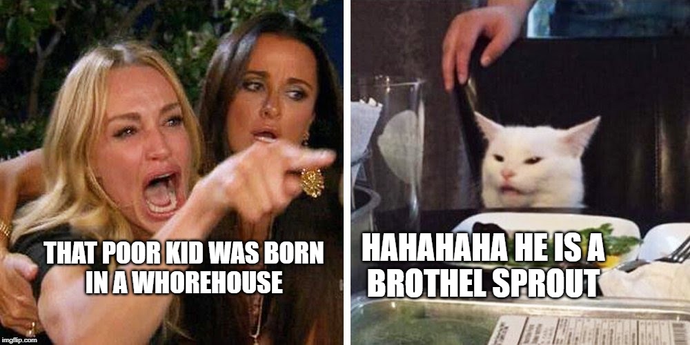 Smudge the cat | HAHAHAHA HE IS A
BROTHEL SPROUT; THAT POOR KID WAS BORN
IN A WHOREHOUSE | image tagged in smudge the cat | made w/ Imgflip meme maker