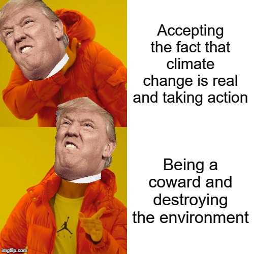 Climate change is real guys | Accepting the fact that climate change is real and taking action; Being a coward and destroying the environment | image tagged in memes,drake hotline bling,climate change,donald trump,facts,environment | made w/ Imgflip meme maker