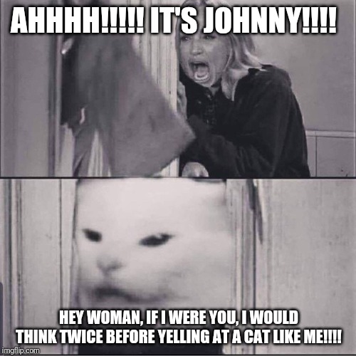 Moral Of The Story: Never Let A Woman Yell At A Cat (or the cat will have its revenge) | AHHHH!!!!! IT'S JOHNNY!!!! HEY WOMAN, IF I WERE YOU, I WOULD THINK TWICE BEFORE YELLING AT A CAT LIKE ME!!!! | image tagged in woman yells are shining | made w/ Imgflip meme maker