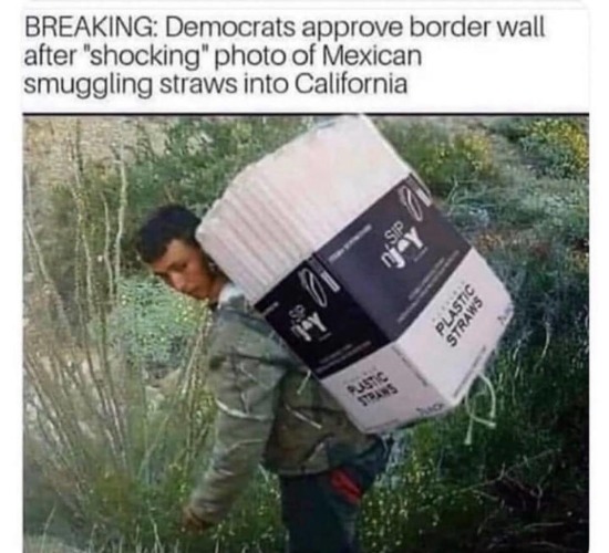 BREAKING NEWS: Democrats Approve Border Wall! | image tagged in mexicans smuggling straws,california,we must build a wall,border wall,straw cartels,drug mules | made w/ Imgflip meme maker