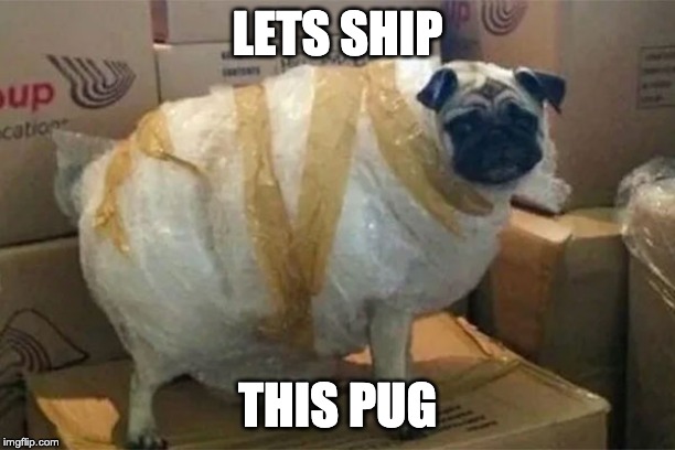 LETS SHIP; THIS PUG | image tagged in pugs | made w/ Imgflip meme maker