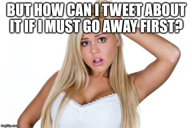 Dumb Blonde | BUT HOW CAN I TWEET ABOUT IT IF I MUST GO AWAY FIRST? | image tagged in dumb blonde | made w/ Imgflip meme maker
