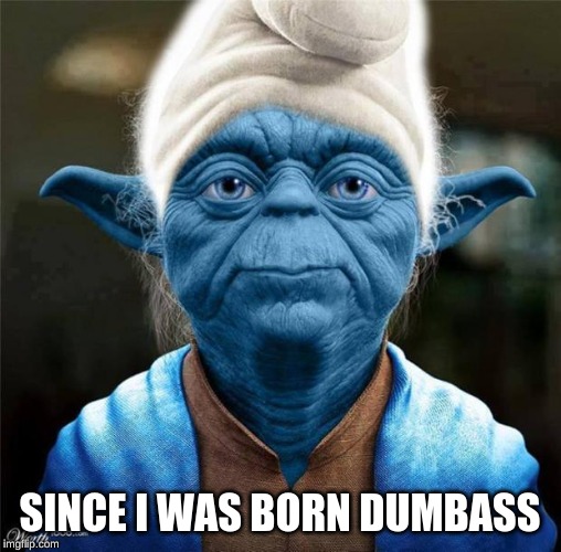 Smurf Yoda | SINCE I WAS BORN DUMBASS | image tagged in smurf yoda | made w/ Imgflip meme maker