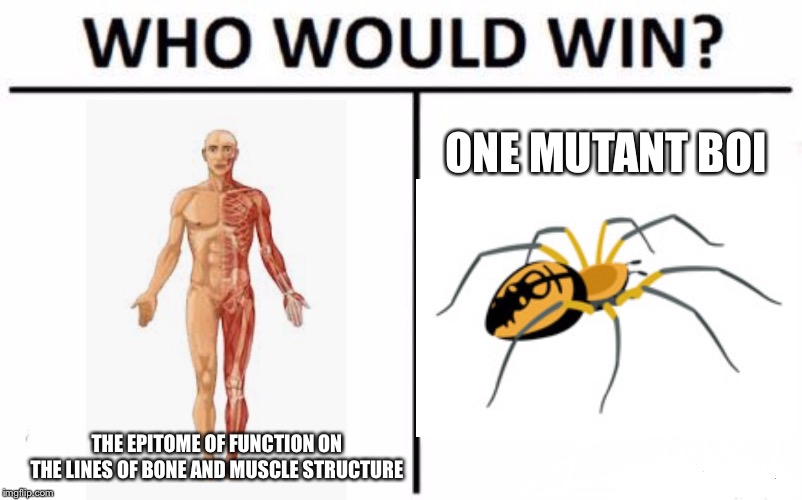 Well.... | ONE MUTANT BOI; THE EPITOME OF FUNCTION ON THE LINES OF BONE AND MUSCLE STRUCTURE | image tagged in memes,who would win,spider | made w/ Imgflip meme maker
