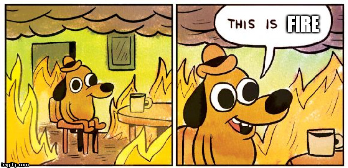 This Is Fine Meme | FIRE | image tagged in this is fine dog | made w/ Imgflip meme maker
