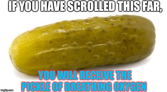 The pickle of oxygen | IF YOU HAVE SCROLLED THIS FAR, YOU WILL RECEIVE THE PICKLE OF BREATHING OXYGEN | image tagged in pickle,oxygen,memes,funny memes,funny | made w/ Imgflip meme maker
