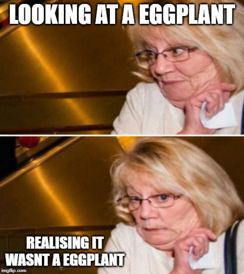 Egg plant meme | LOOKING AT A EGGPLANT; REALISING IT WASNT A EGGPLANT | image tagged in memes,funny | made w/ Imgflip meme maker