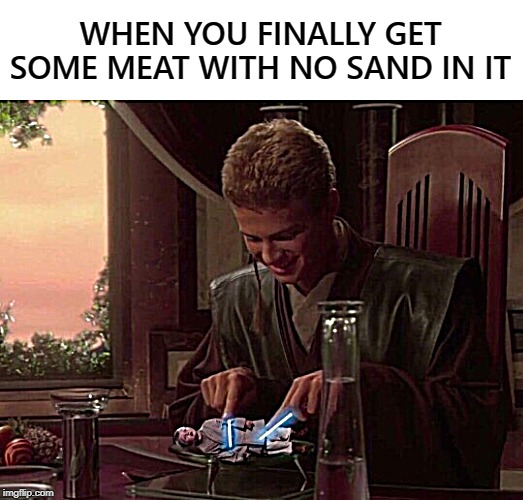 WHEN YOU FINALLY GET SOME MEAT WITH NO SAND IN IT | image tagged in nosand | made w/ Imgflip meme maker