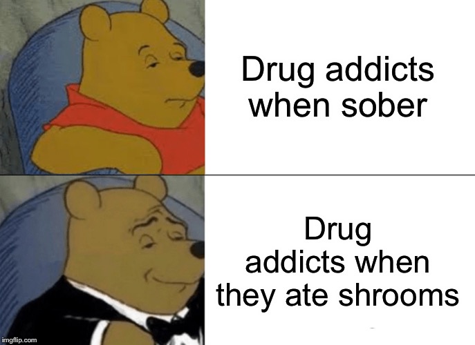 Tuxedo Winnie The Pooh Meme | Drug addicts when sober; Drug addicts when they ate shrooms | image tagged in memes,tuxedo winnie the pooh | made w/ Imgflip meme maker