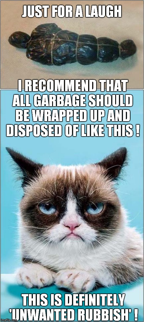 Grumpys Waste Disposal | JUST FOR A LAUGH; I RECOMMEND THAT ALL GARBAGE SHOULD BE WRAPPED UP AND DISPOSED OF LIKE THIS ! THIS IS DEFINITELY 'UNWANTED RUBBISH' ! | image tagged in fun,grumpy cat,garbage | made w/ Imgflip meme maker