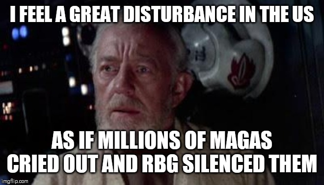 Disturbance in the force | I FEEL A GREAT DISTURBANCE IN THE US; AS IF MILLIONS OF MAGAS CRIED OUT AND RBG SILENCED THEM | image tagged in disturbance in the force,AdviceAnimals | made w/ Imgflip meme maker