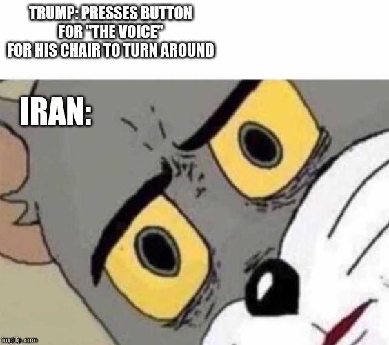 Tom Cat Unsettled Close up | TRUMP: PRESSES BUTTON FOR ''THE VOICE'' FOR HIS CHAIR TO TURN AROUND; IRAN: | image tagged in tom cat unsettled close up | made w/ Imgflip meme maker