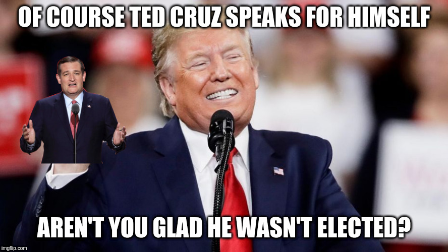 Trump Makes Cruz Speak | OF COURSE TED CRUZ SPEAKS FOR HIMSELF; AREN'T YOU GLAD HE WASN'T ELECTED? | image tagged in trump,cruz | made w/ Imgflip meme maker